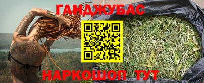 крисы Новодвинск