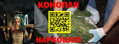крисы Новодвинск