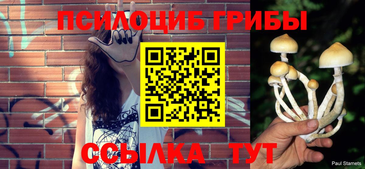 Псилоцибиновые грибы мицелий Урус-Мартан