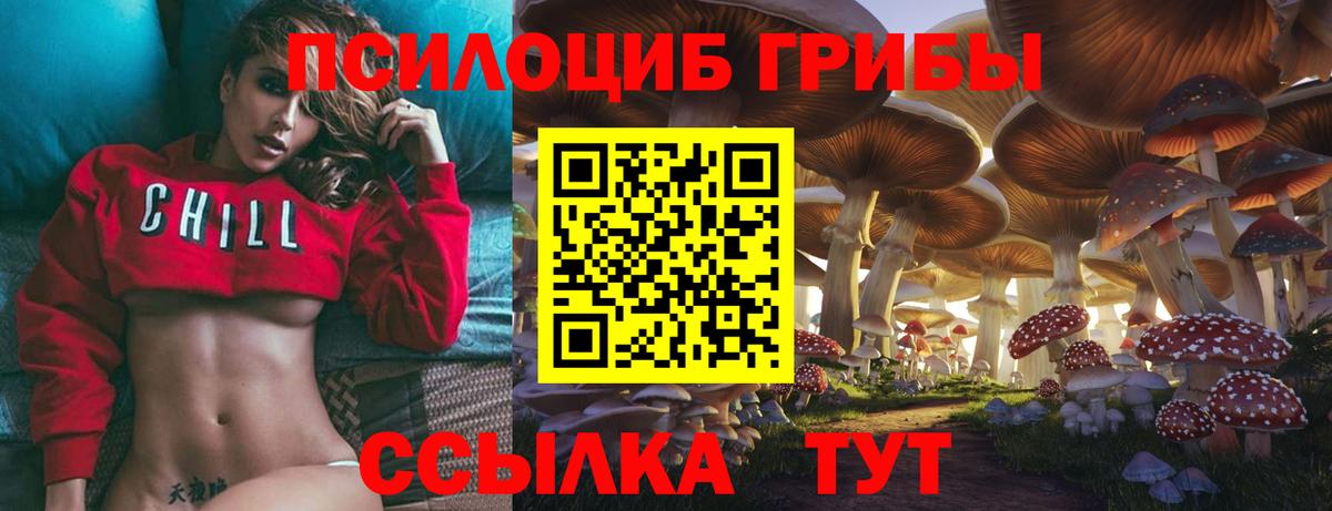 Галлюциногенные грибы Psilocybine cubensis  где можно купить   Урус-Мартан  Вход с VPN 